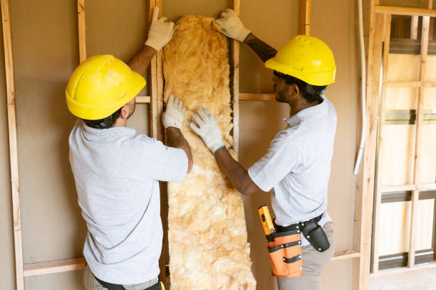 Best Residential Insulation Services  in Egypt, PA